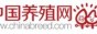 中國(guó)養(yǎng)殖網(wǎng)
